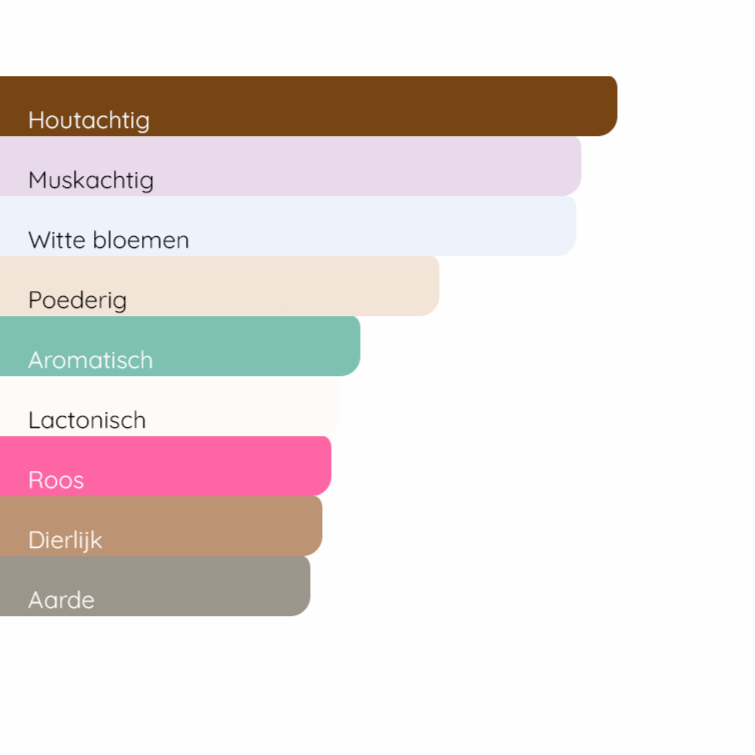 NARCISO RODRIGUEZ Narciso