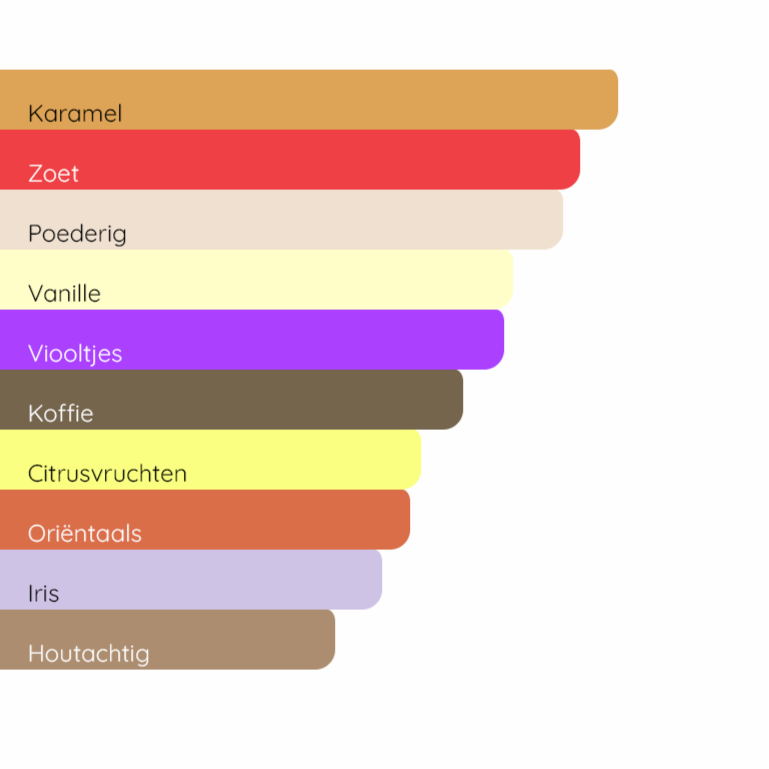 DOLCE&GABBANA The Only One