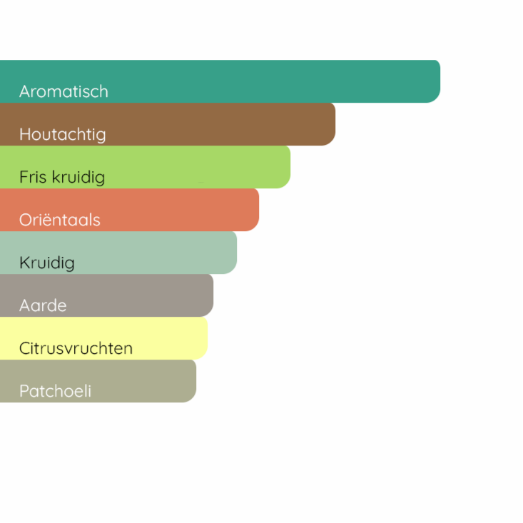 YVES SAINT LAURENT Y Intense