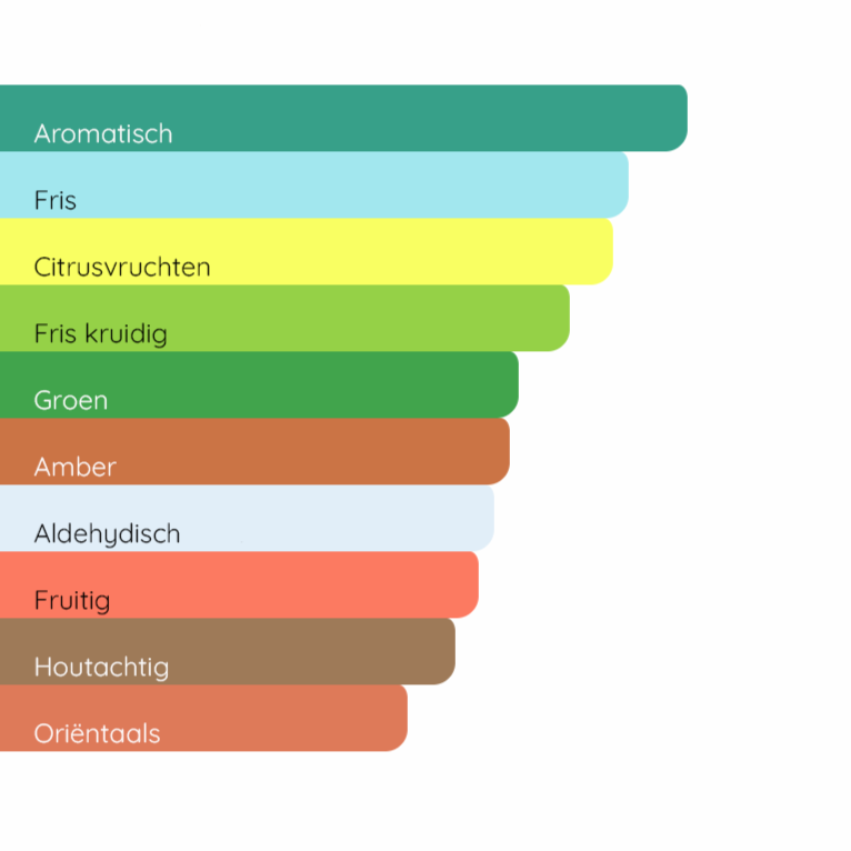 YVES SAINT LAURENT Y