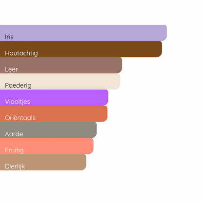 BOSS The Scent Le Parfum for Him