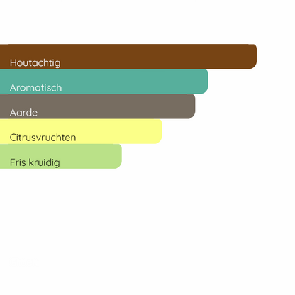 TOM FORD Grey Vetiver