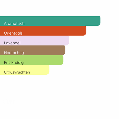 YVES SAINT LAURENT La Nuit de L'Homme