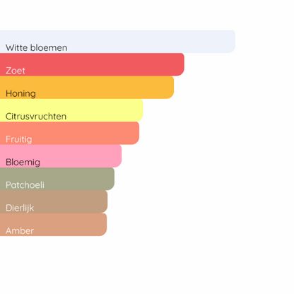 RABANNE Lady Million