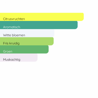 TOM FORD Mandarino Di Amalfi