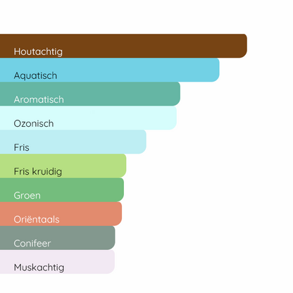 DSQUARED² Original Wood
