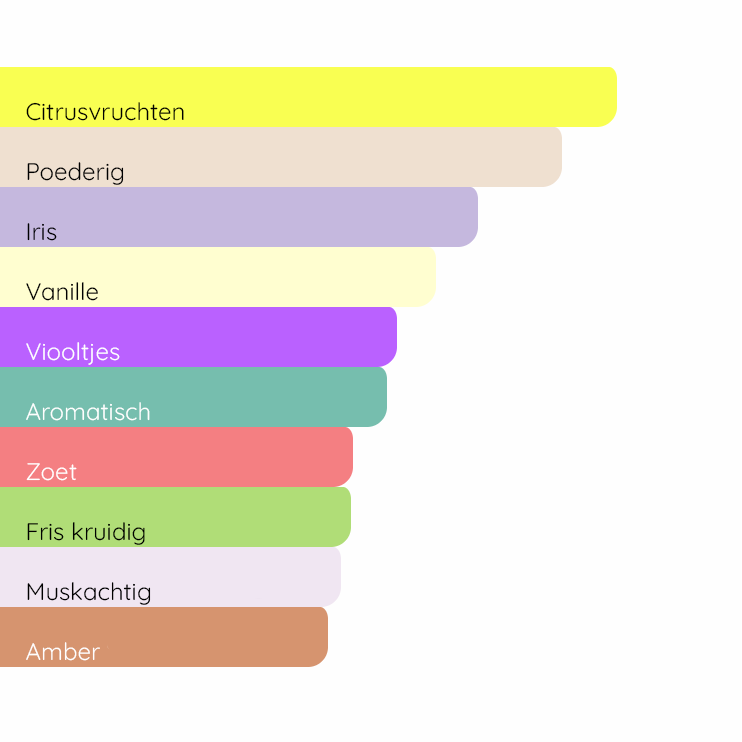 CHANEL Paris - Venice