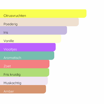 CHANEL Paris - Venice