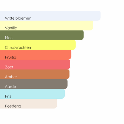 PRADA Paradoxe Intense