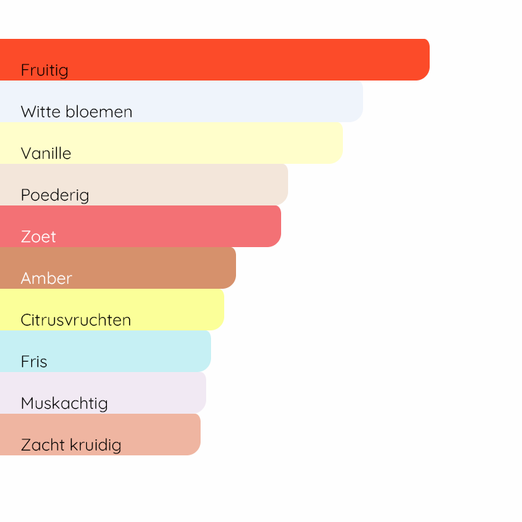 DOLCE&GABBANA The One