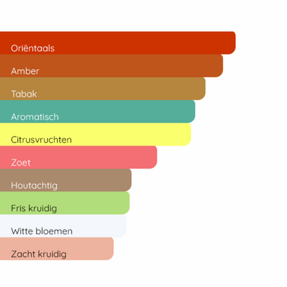 DOLCE&GABBANA The One for Men