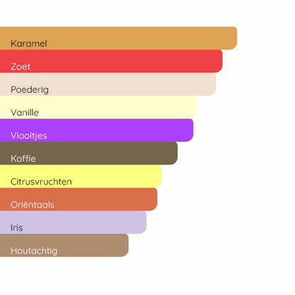 DOLCE&GABBANA The Only One