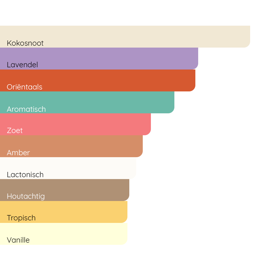 VALENTINO Uomo Born in Roma Purple Melancholia