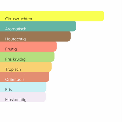 VERSACE Man Eau Fraîche