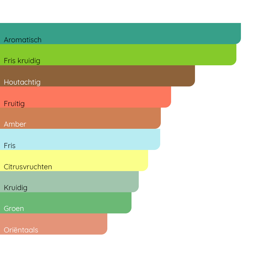 YVES SAINT LAURENT Y