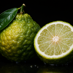 Bergamot