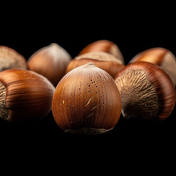 Hazelnoot