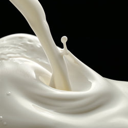 Melk