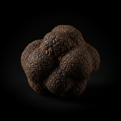 Truffel