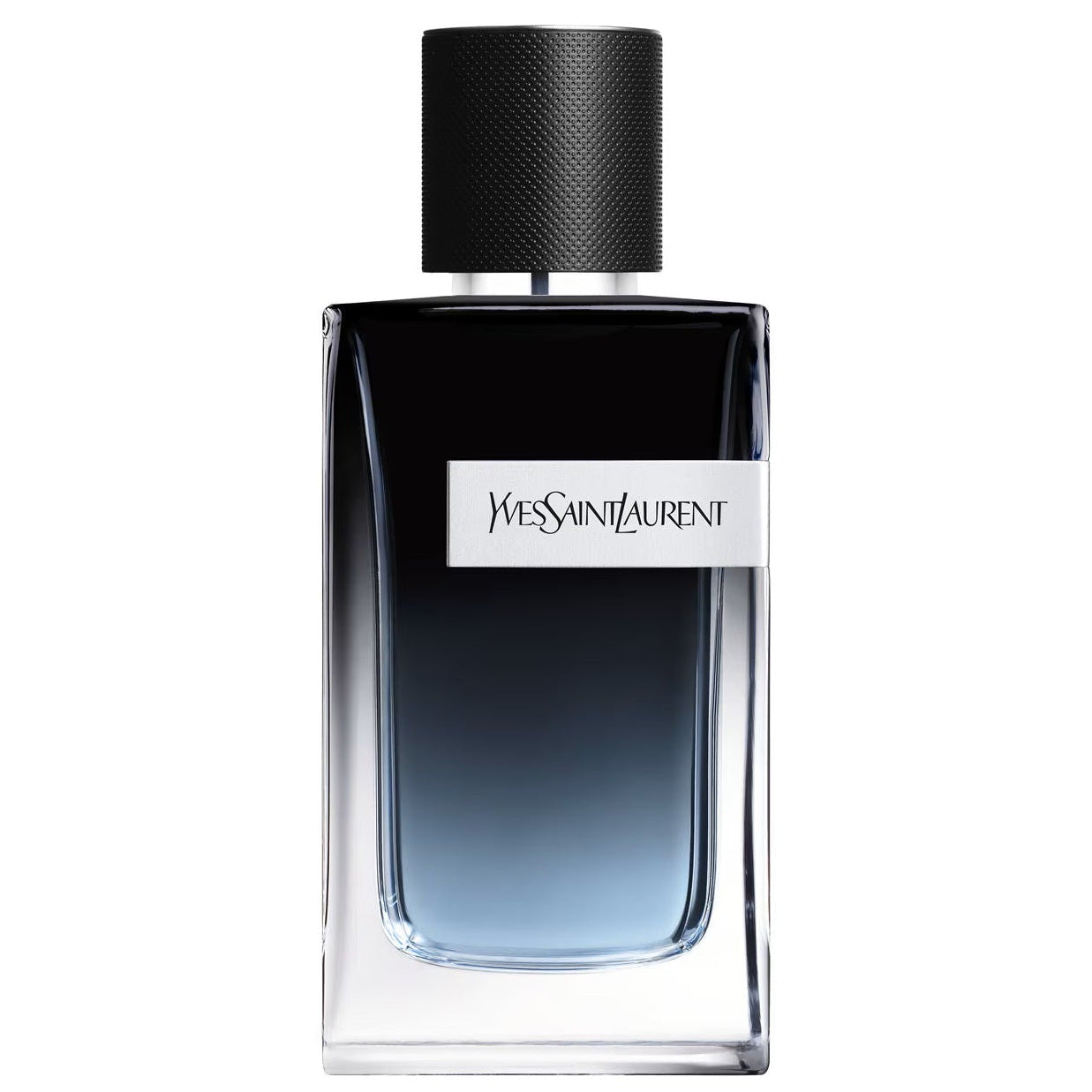 YVES SAINT LAURENT Y